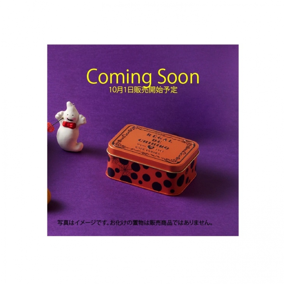 �y�������z�Z���N�V�����E�n���E�B���@NEW�i���́j